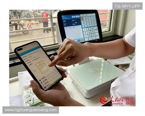 皇冠登录官网网页版账号安全保障措施，保障用户信息安全的实用技巧